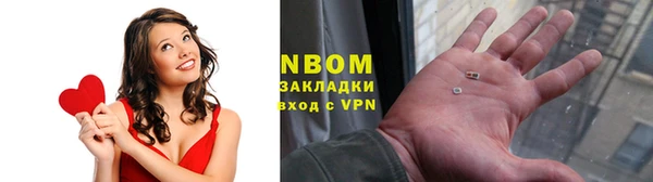 шишки Приозерск