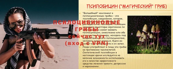 шишки Приозерск